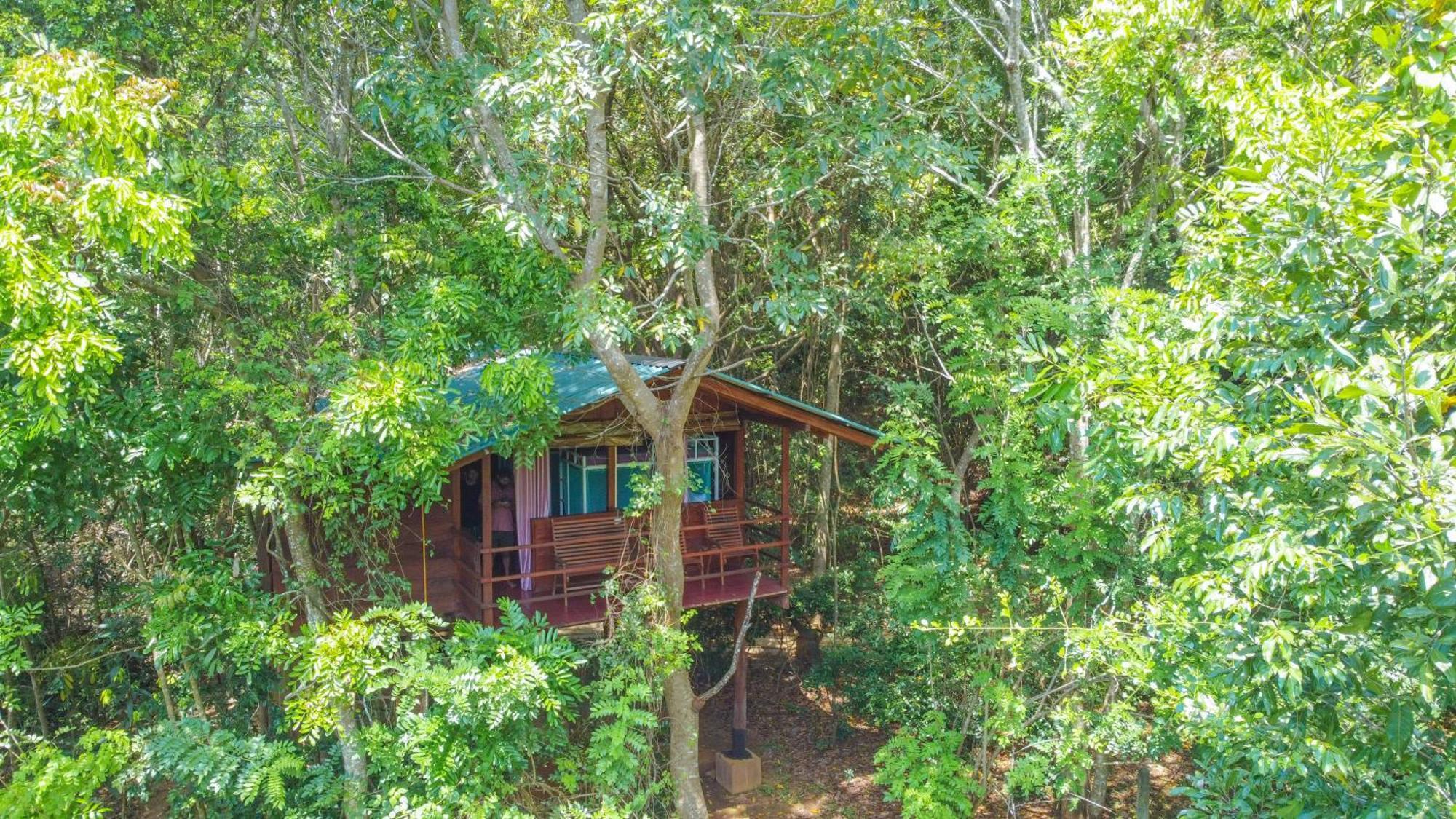 Jungle Host Hostel And Tree House Sigiriya Dış mekan fotoğraf